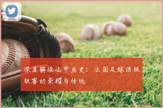 深度解读法甲历史：法国足球顶级联赛的荣耀与传统