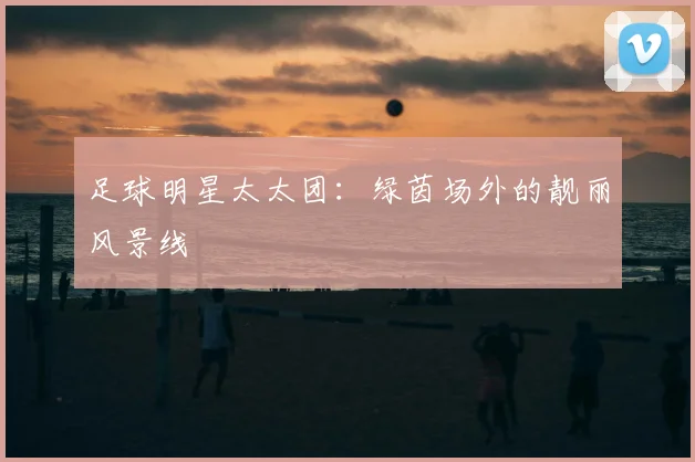 足球明星太太团：绿茵场外的靓丽风景线
