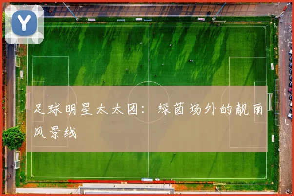 足球明星太太团：绿茵场外的靓丽风景线