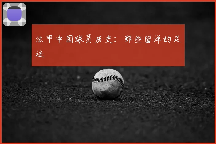 法甲中国球员历史:那些留洋的足迹